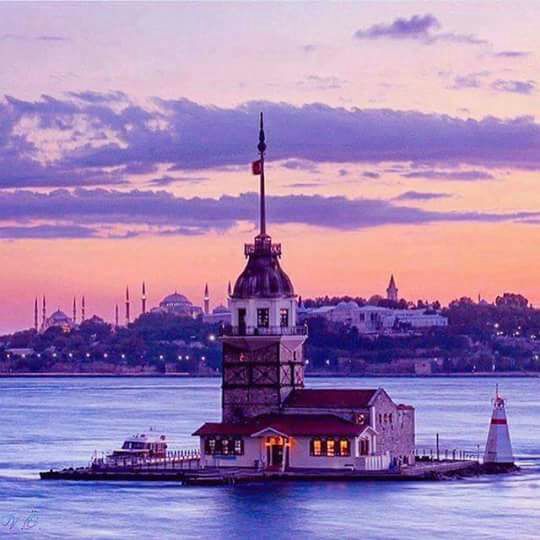  bntpal.com_150862342