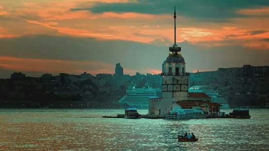  bntpal.com_150864659