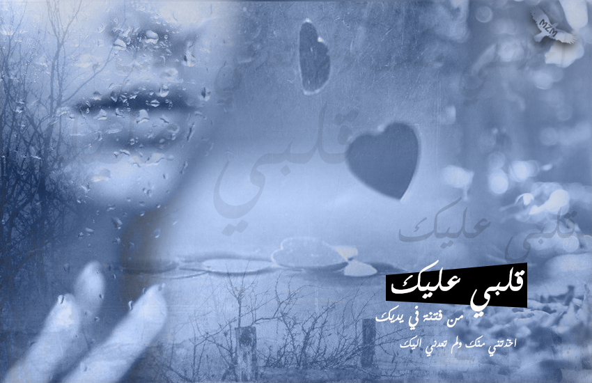 bntpal.com_150935628