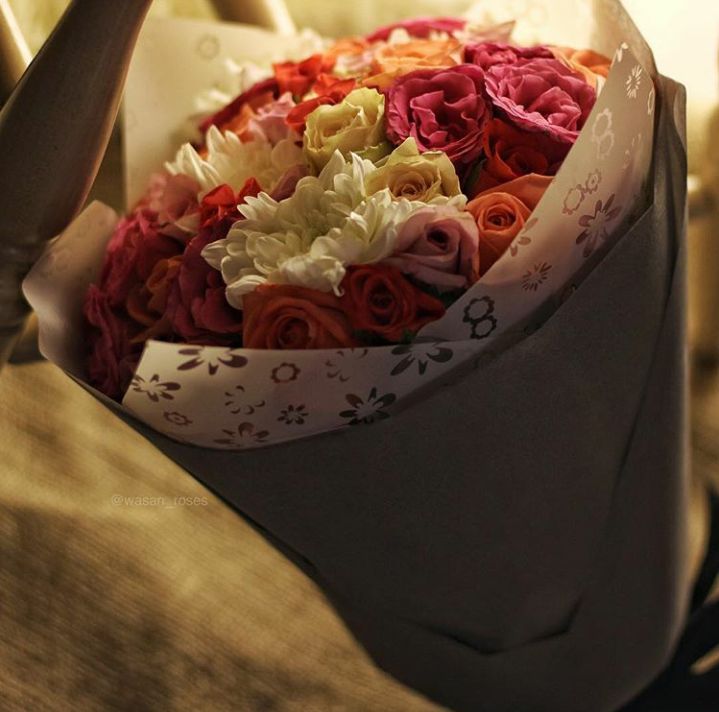  bntpal.com_150938320