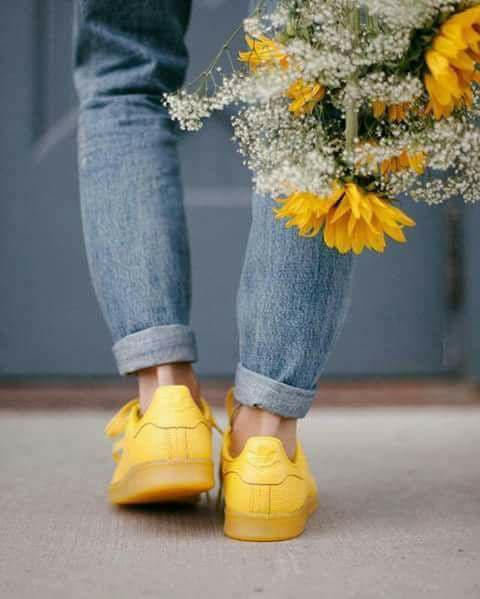 bntpal.com_151025247