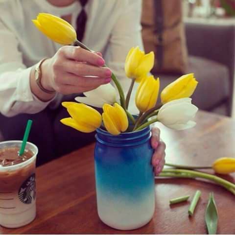 bntpal.com_151025247