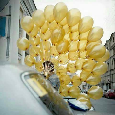 bntpal.com_151025247