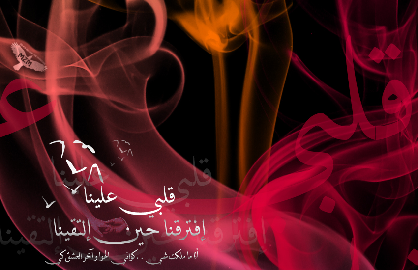  bntpal.com_151048523