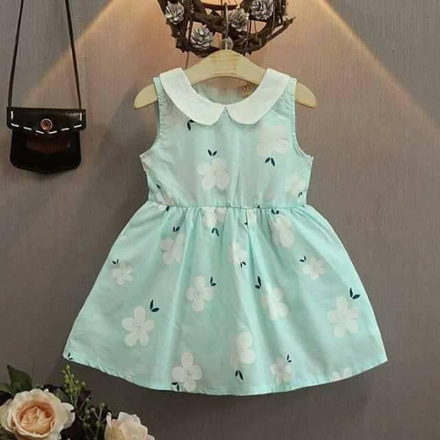  bntpal.com_151084761