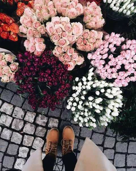 bntpal.com_151153825