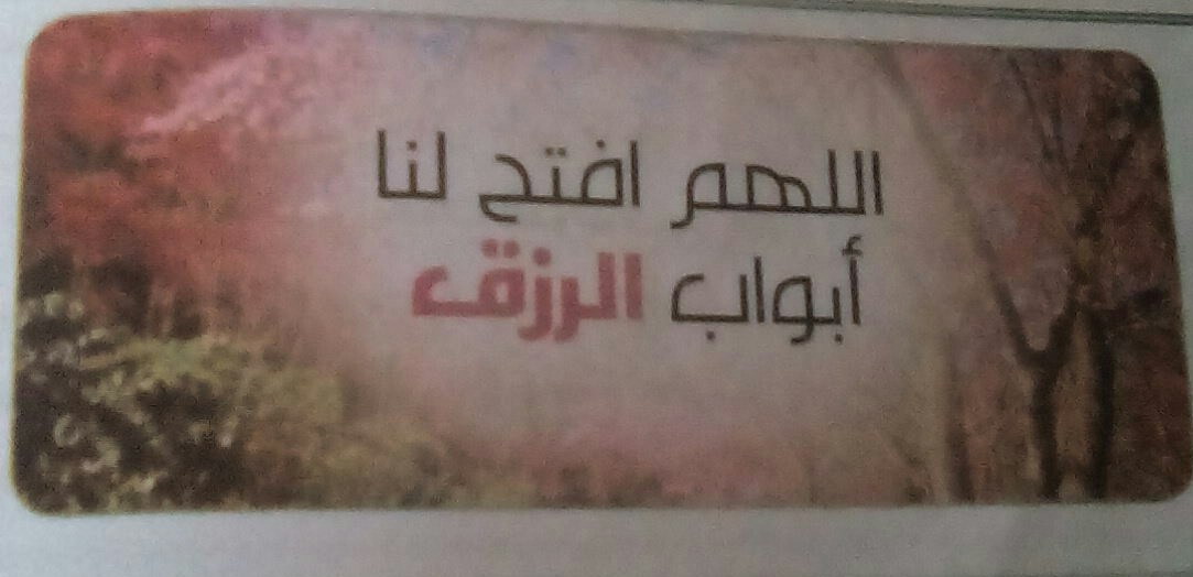 bntpal.com_151179418