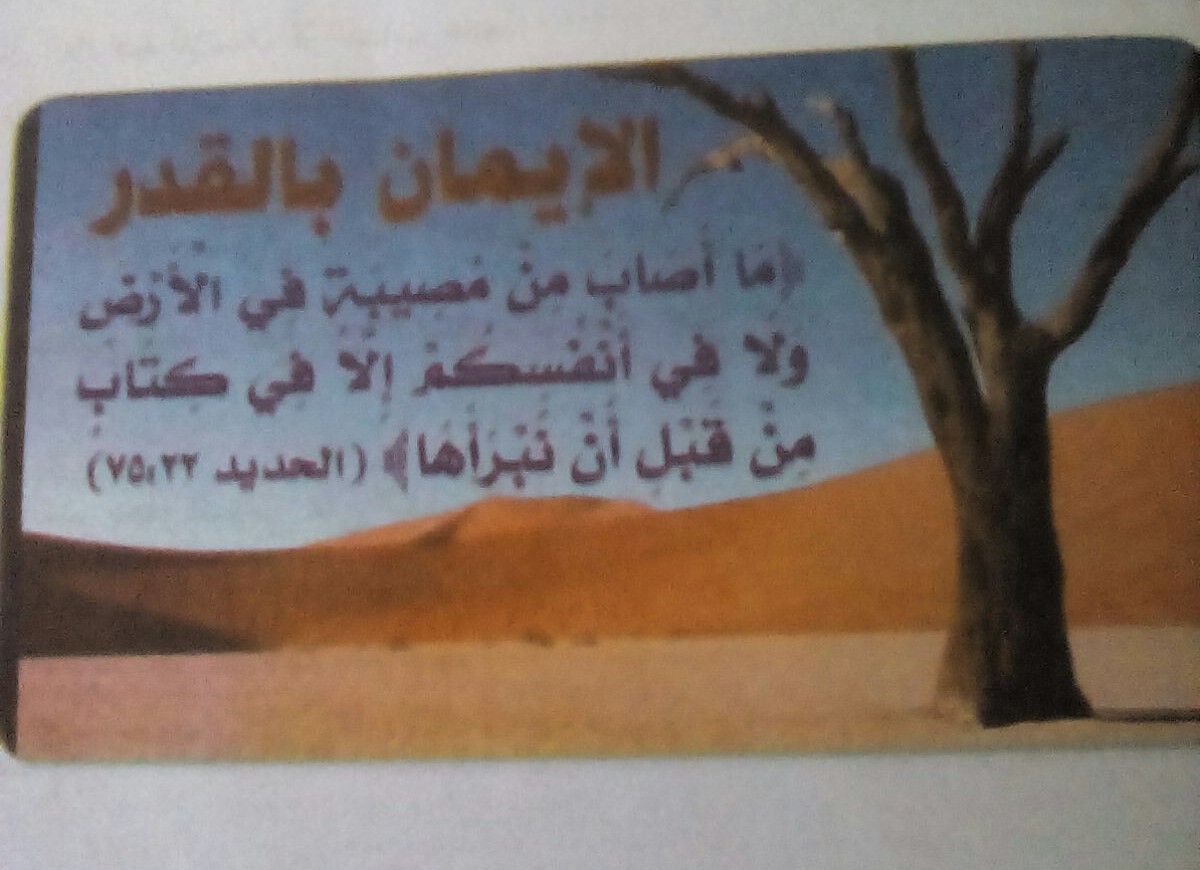 bntpal.com_151179418