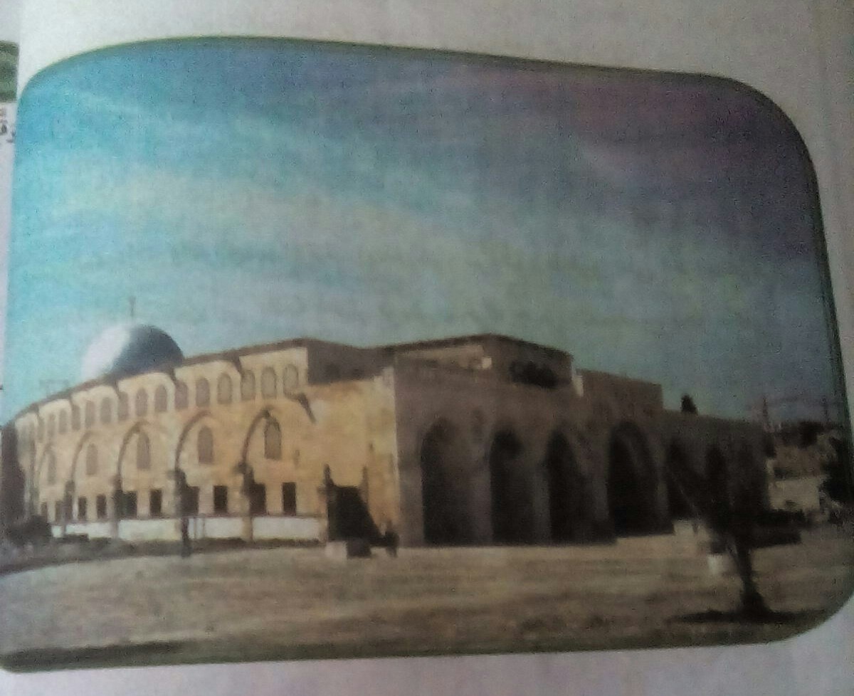 bntpal.com_151179418