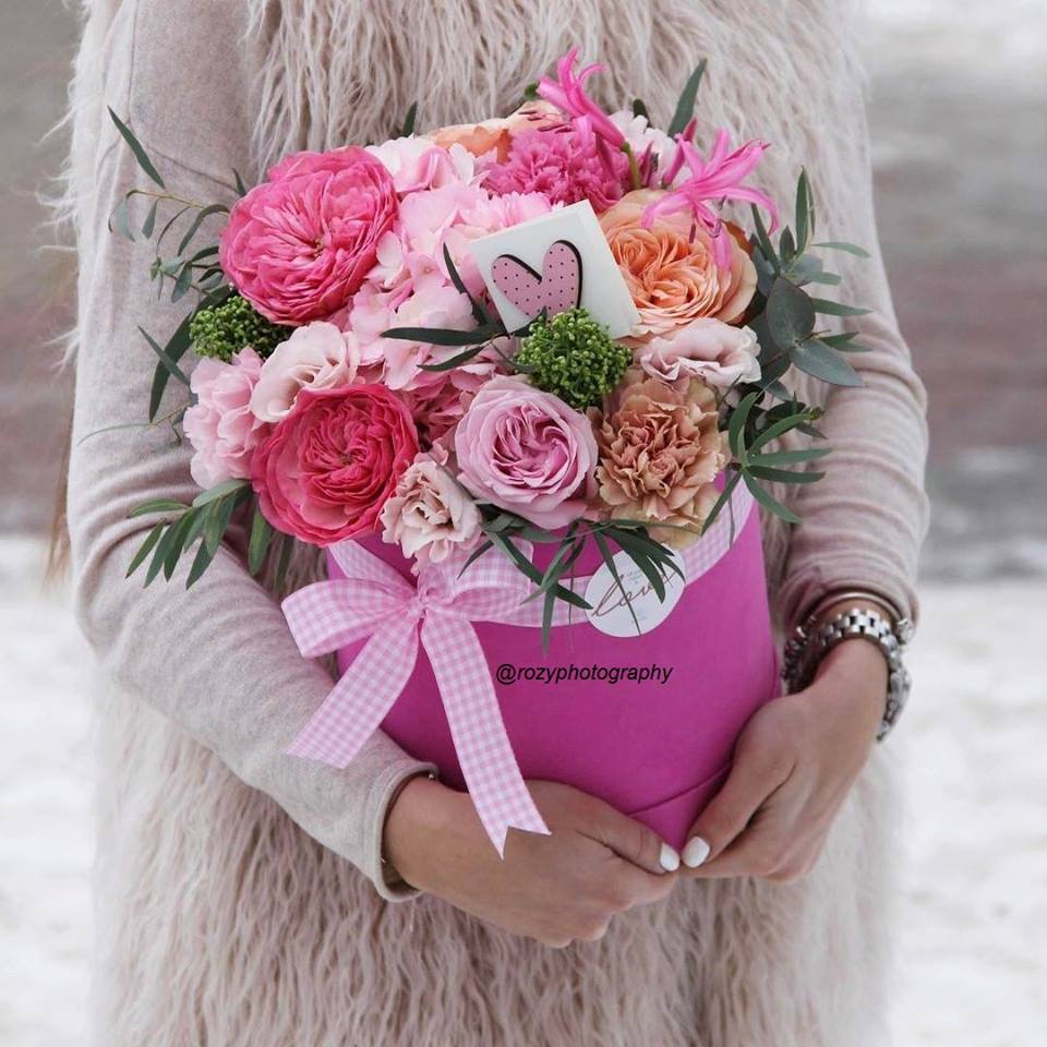 {} bntpal.com_151207770
