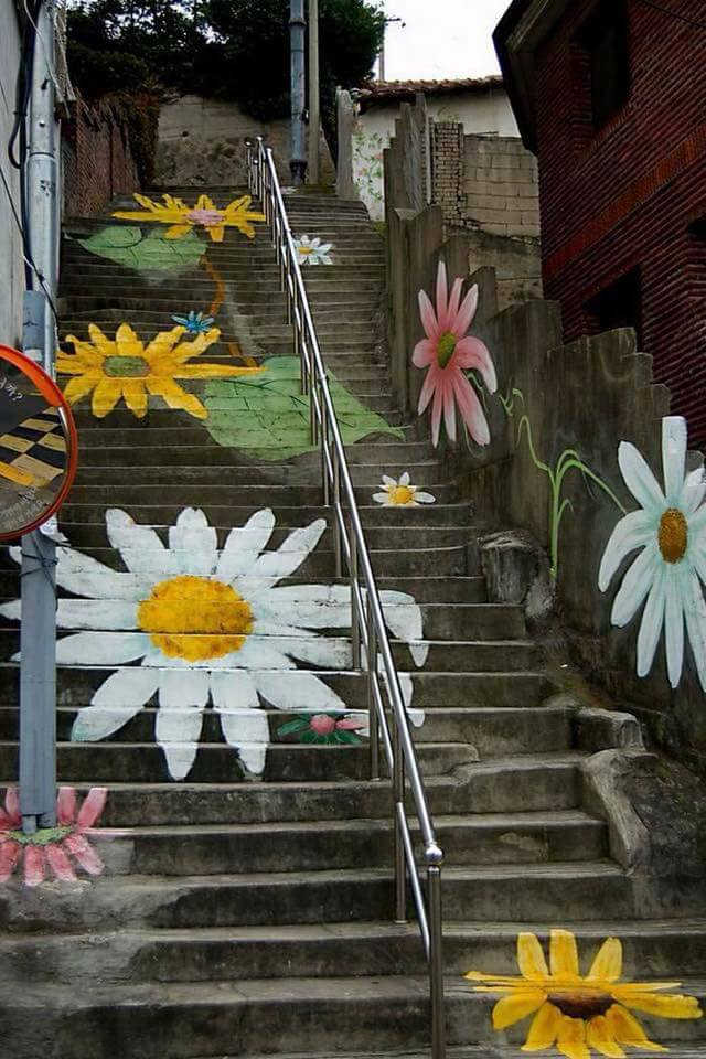  bntpal.com_151395182