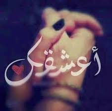 bntpal.com_151429493