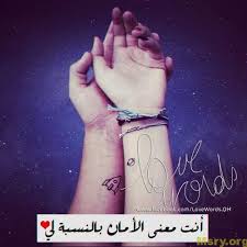 bntpal.com_151429493