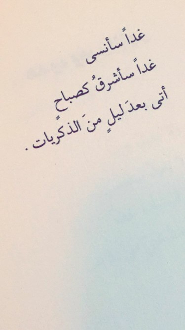 bntpal.com_151447372