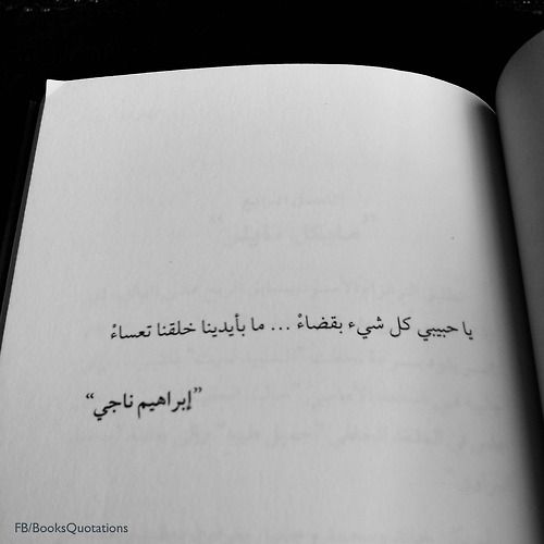 bntpal.com_151447372