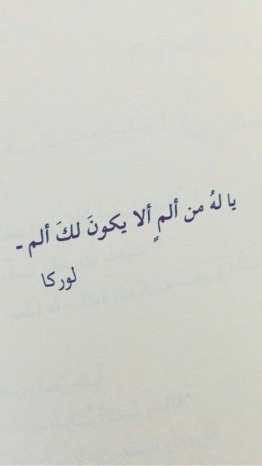 bntpal.com_151447372