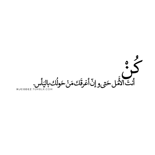 bntpal.com_151447372