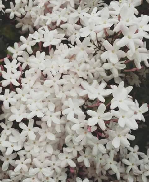 ♥ bntpal.com_151454508