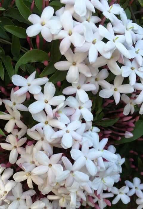 ♥ bntpal.com_151454508
