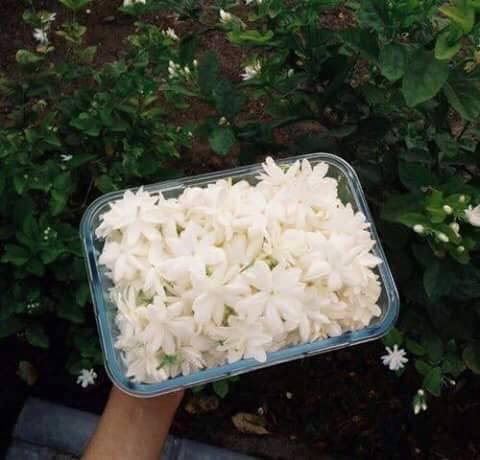 ♥ bntpal.com_151454508