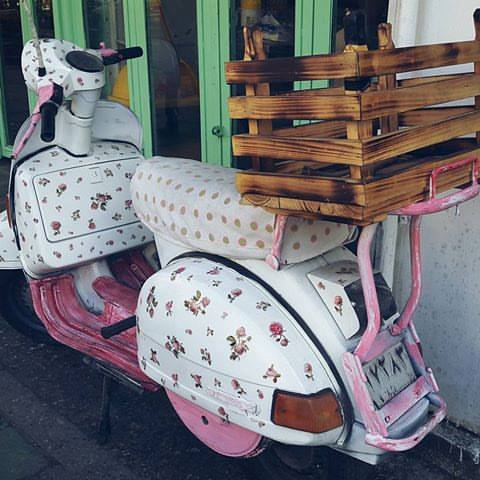 Flowers 🌸,, bntpal.com_151611923