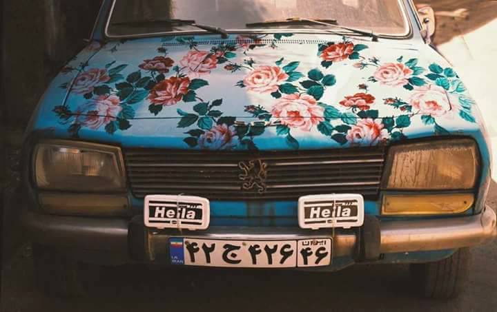 Flowers 🌸,, bntpal.com_151611923