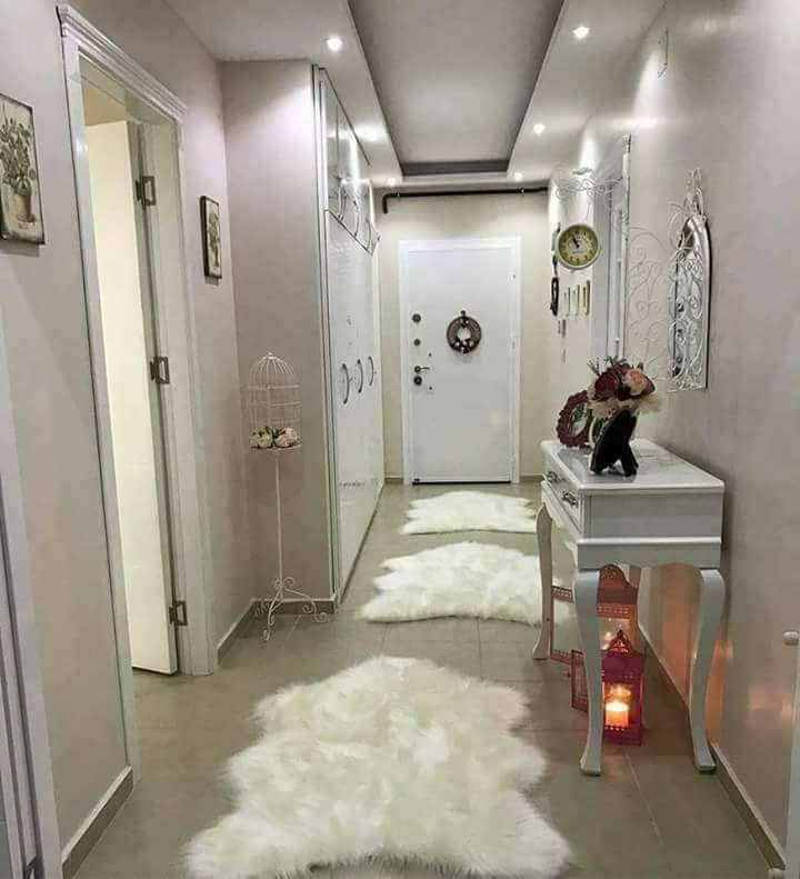  bntpal.com_151697810