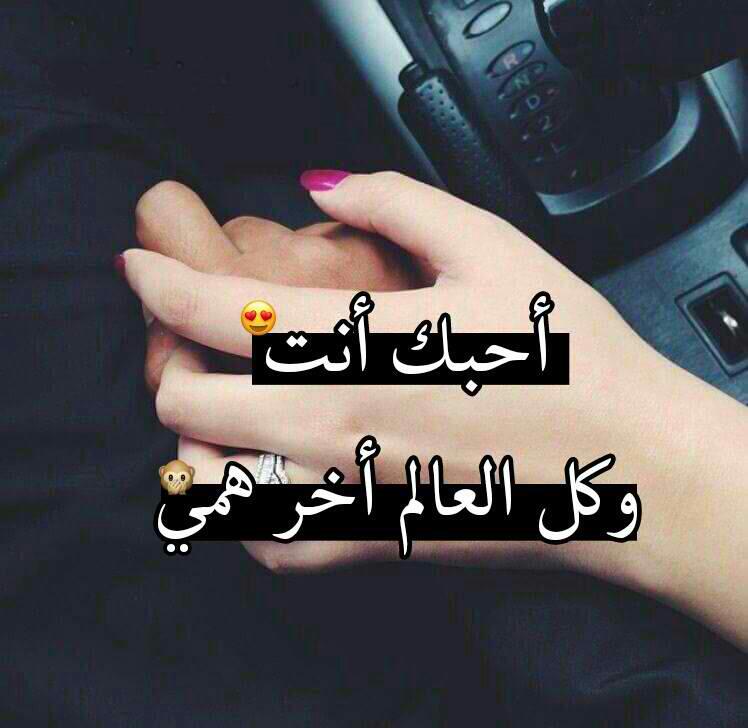 bntpal.com_151706213