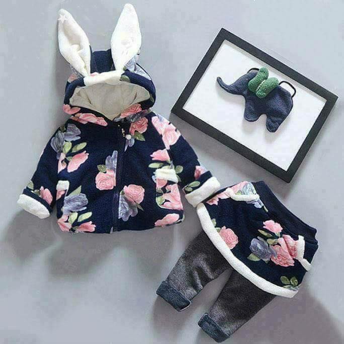 bntpal.com_151768097