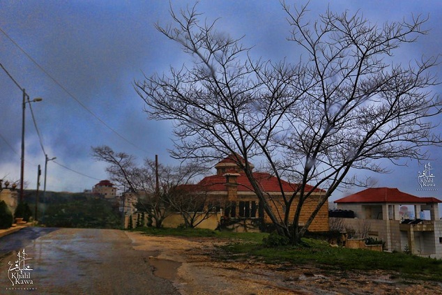 bntpal.com_151821650