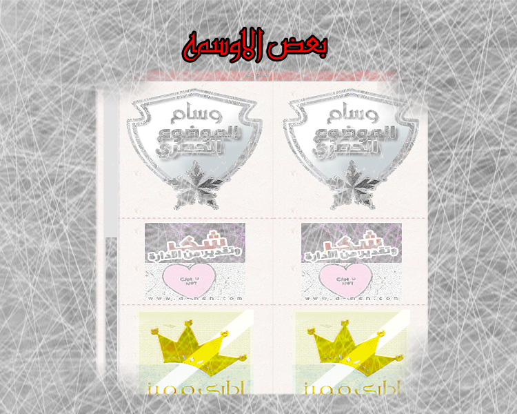 bntpal.com_151833556