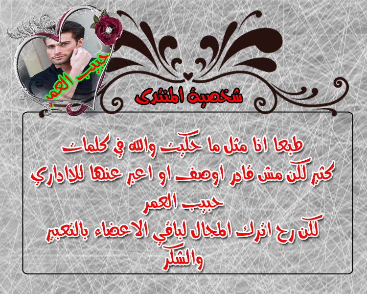 bntpal.com_151833566