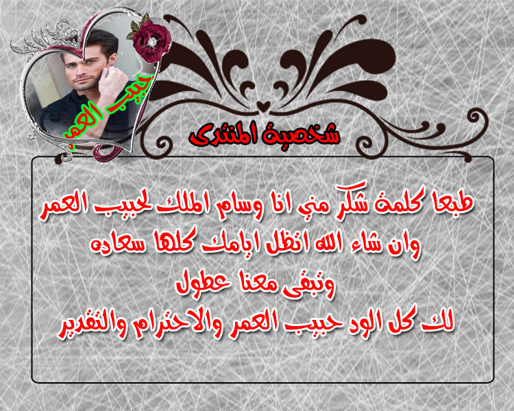 bntpal.com_151833566