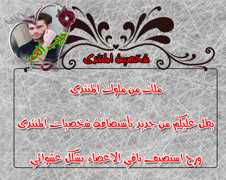 bntpal.com_151833566