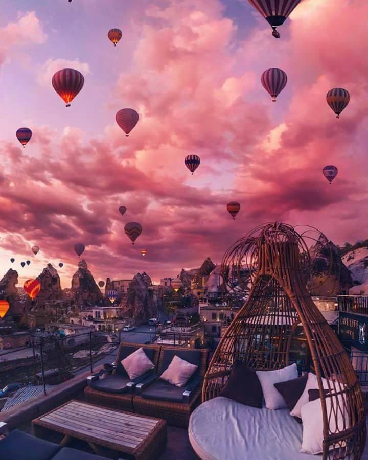 bntpal.com_151835018