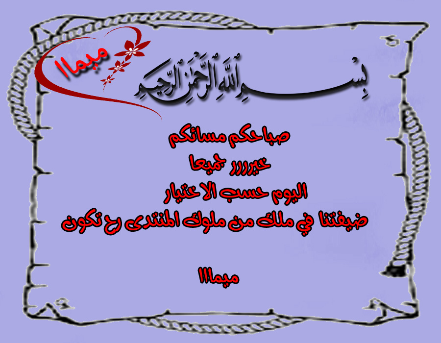 bntpal.com_151850647