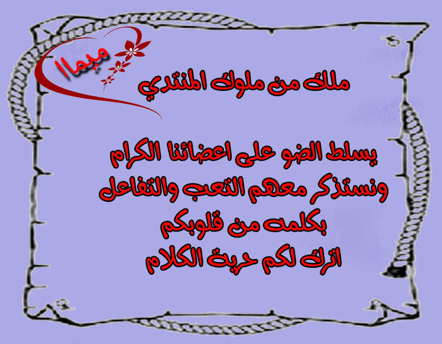 bntpal.com_151850803