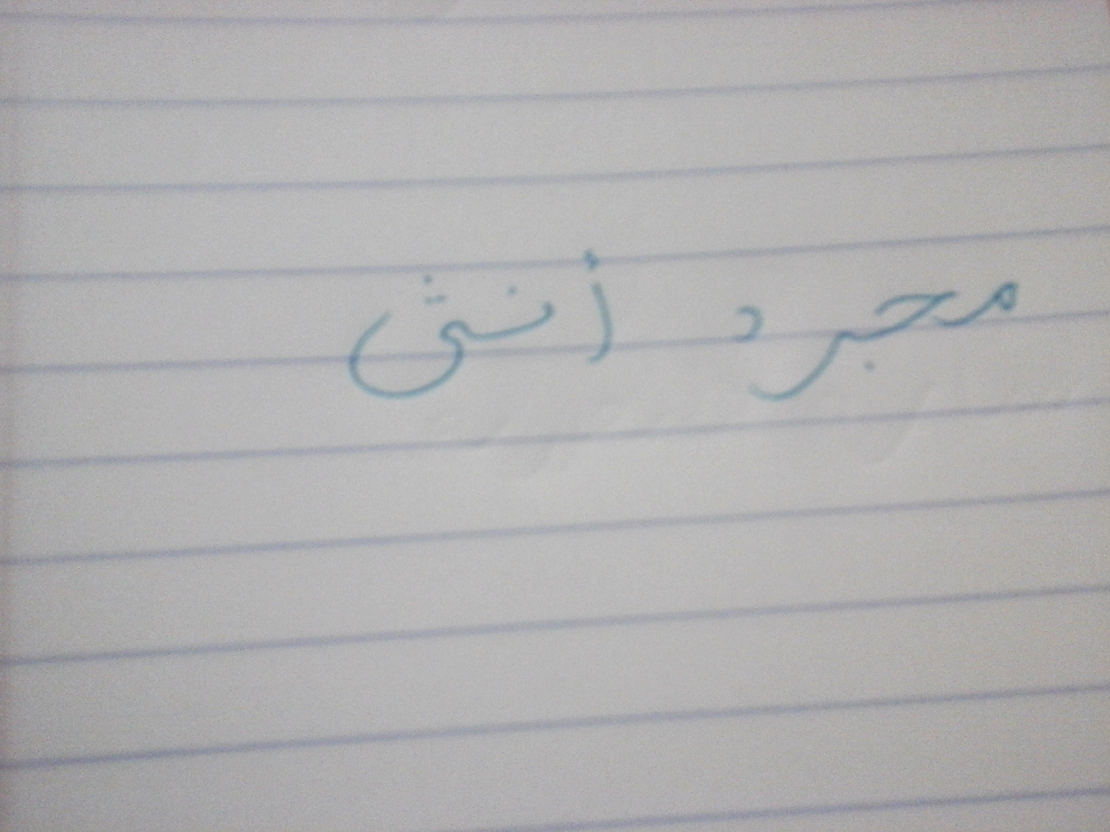 bntpal.com_151915763