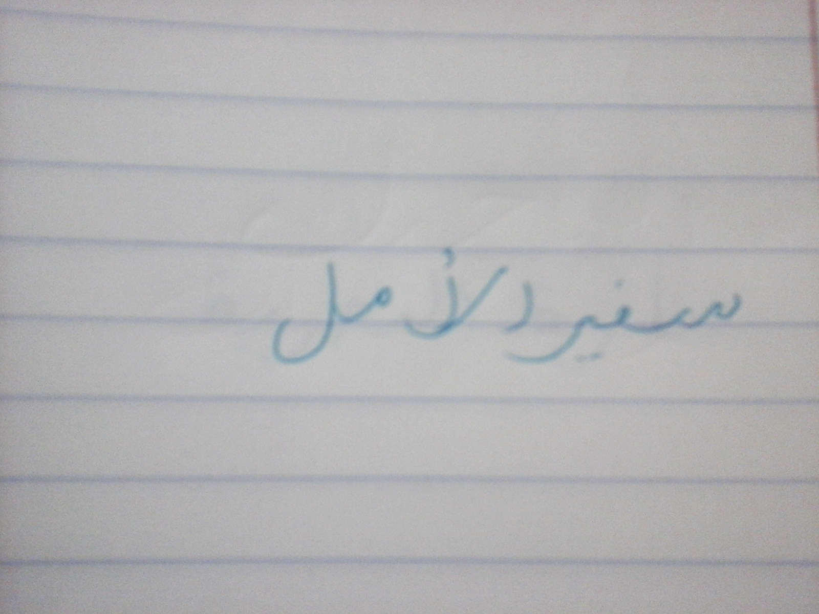 bntpal.com_151915834