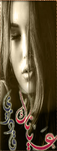bntpal.com_151921471