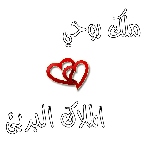 bntpal.com_151927624