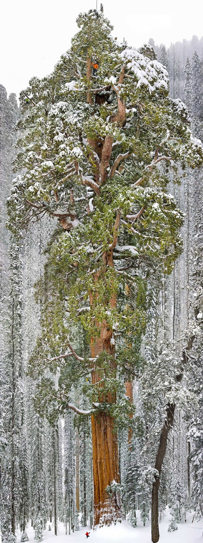 bntpal.com_151936578