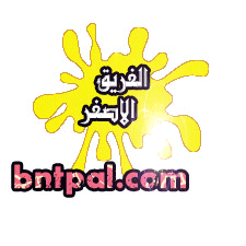bntpal.com_151945645