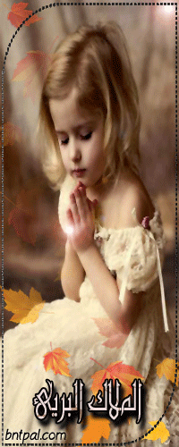 bntpal.com_151963129