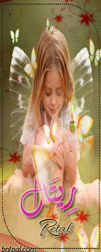 bntpal.com_151971530