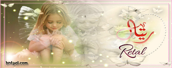 bntpal.com_151971530
