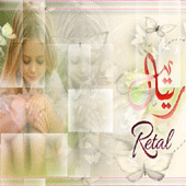bntpal.com_151971530