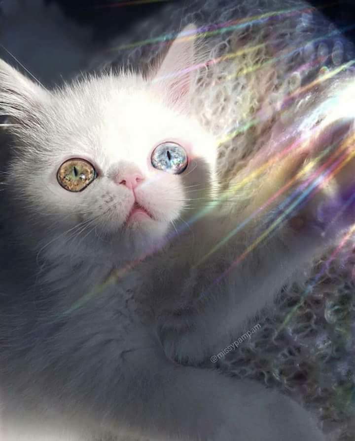 💙 bntpal.com_151973813