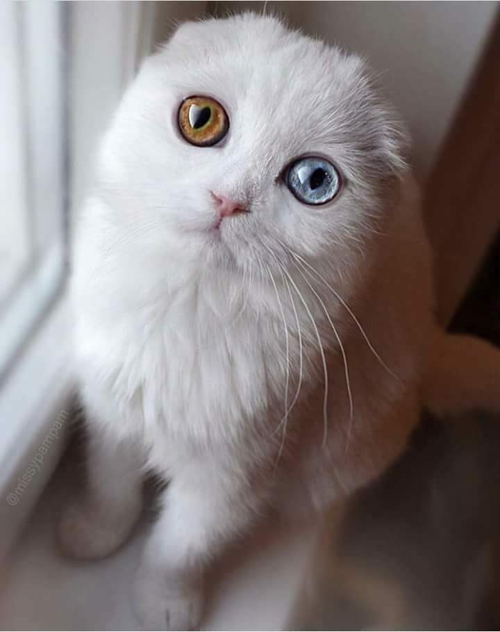 💙 bntpal.com_151973813