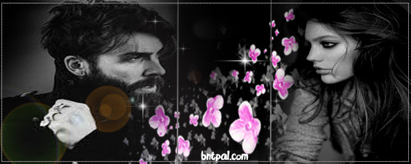 bntpal.com_151989522